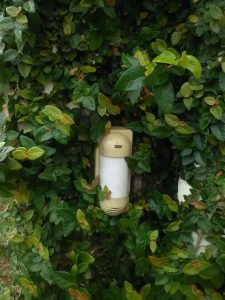 img_20161107_143056